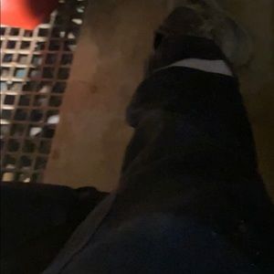 Meet your Posher, Bobby